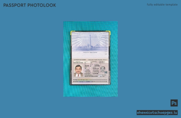 Korea-Pass 2016-heute: Beispielansicht des Passfotos